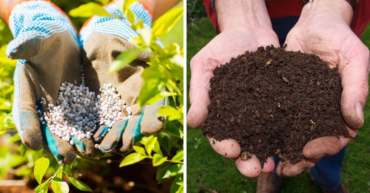 تفاوت کمپوست و کود